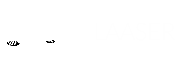 DJ-Laaser